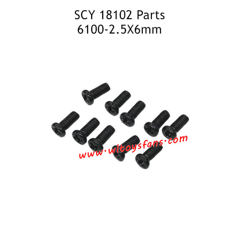 SCY 18102 RC Car Parts 2.5X6mm Screw 6100